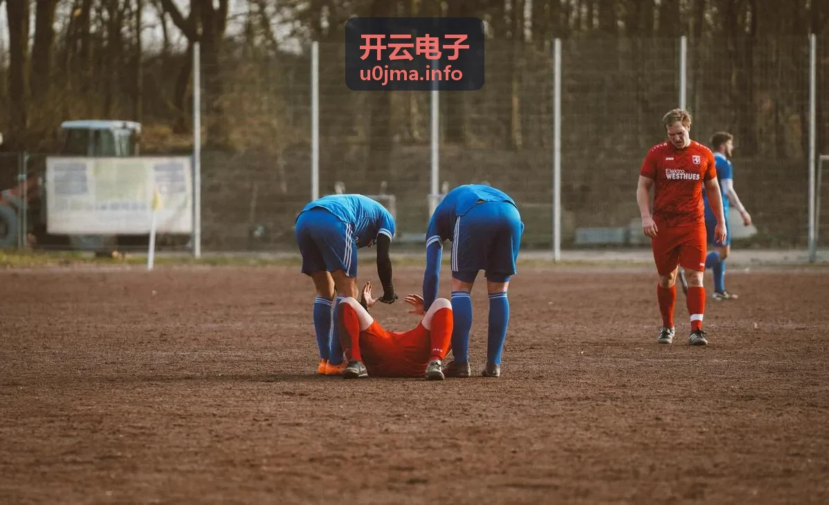 开云电子电子产品选型服务方案示意